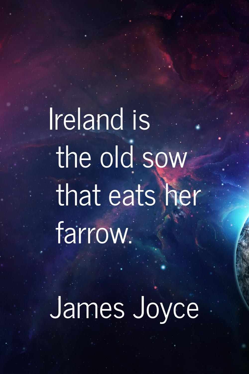 Ireland is the old sow that eats her farrow.