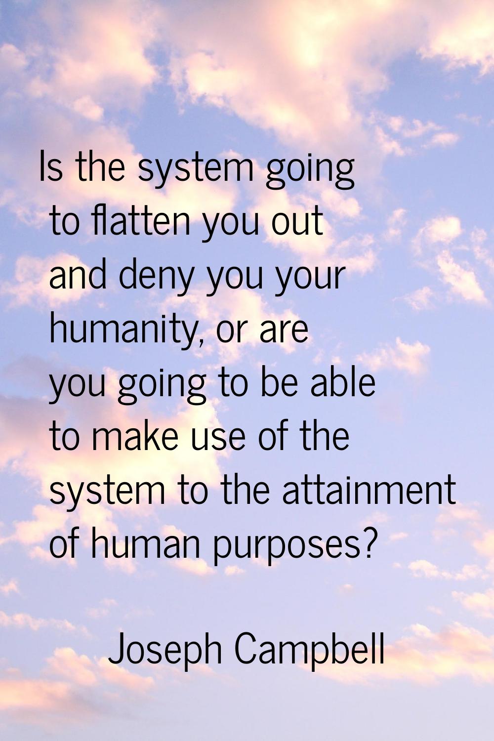 Is the system going to flatten you out and deny you your humanity, or are you going to be able to m