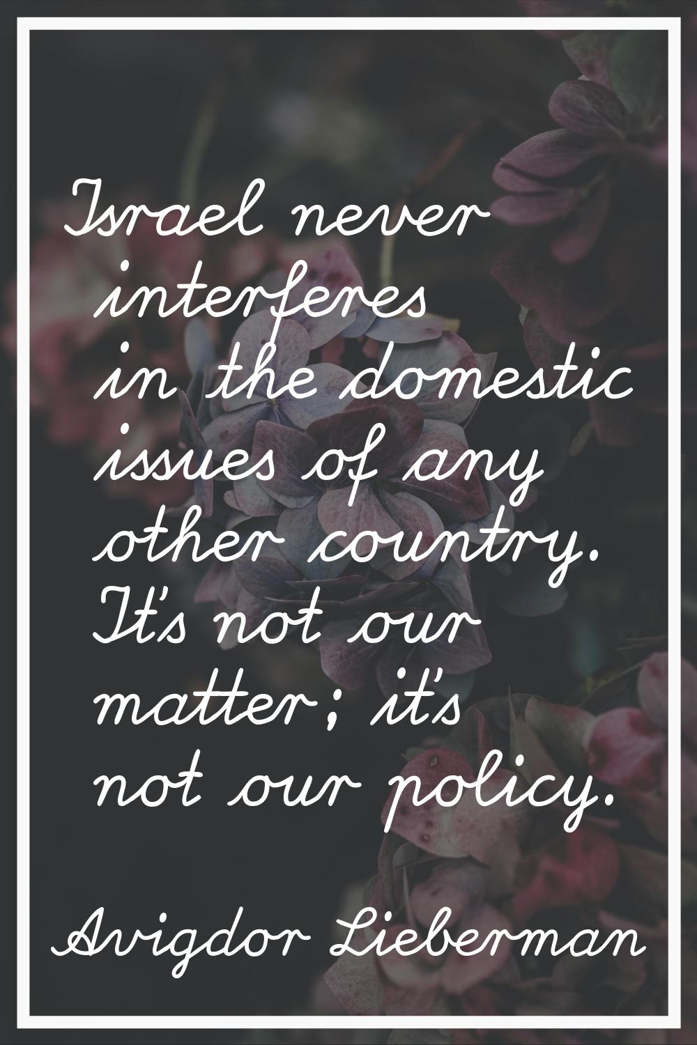 Israel never interferes in the domestic issues of any other country. It's not our matter; it's not 
