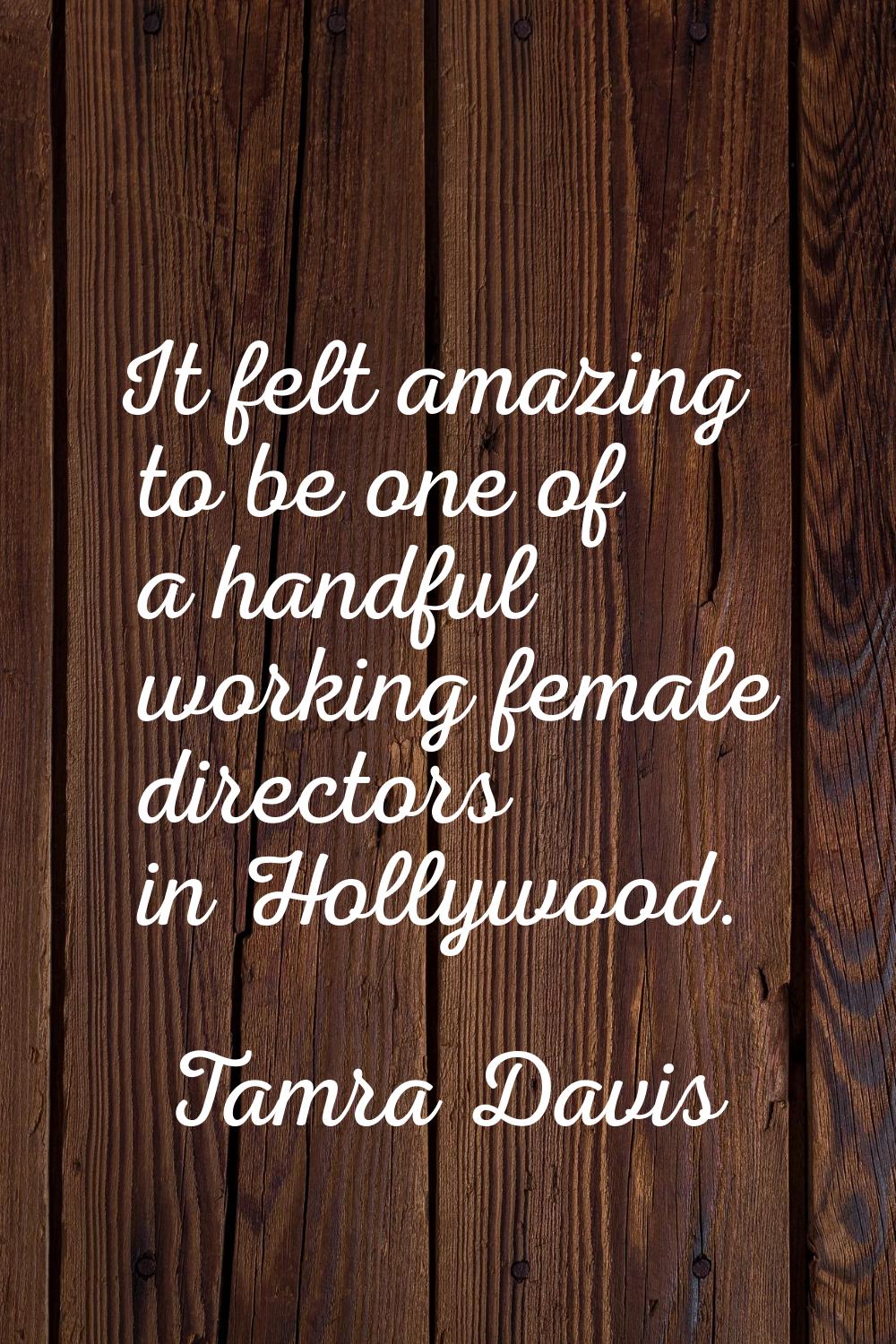 It felt amazing to be one of a handful working female directors in Hollywood.