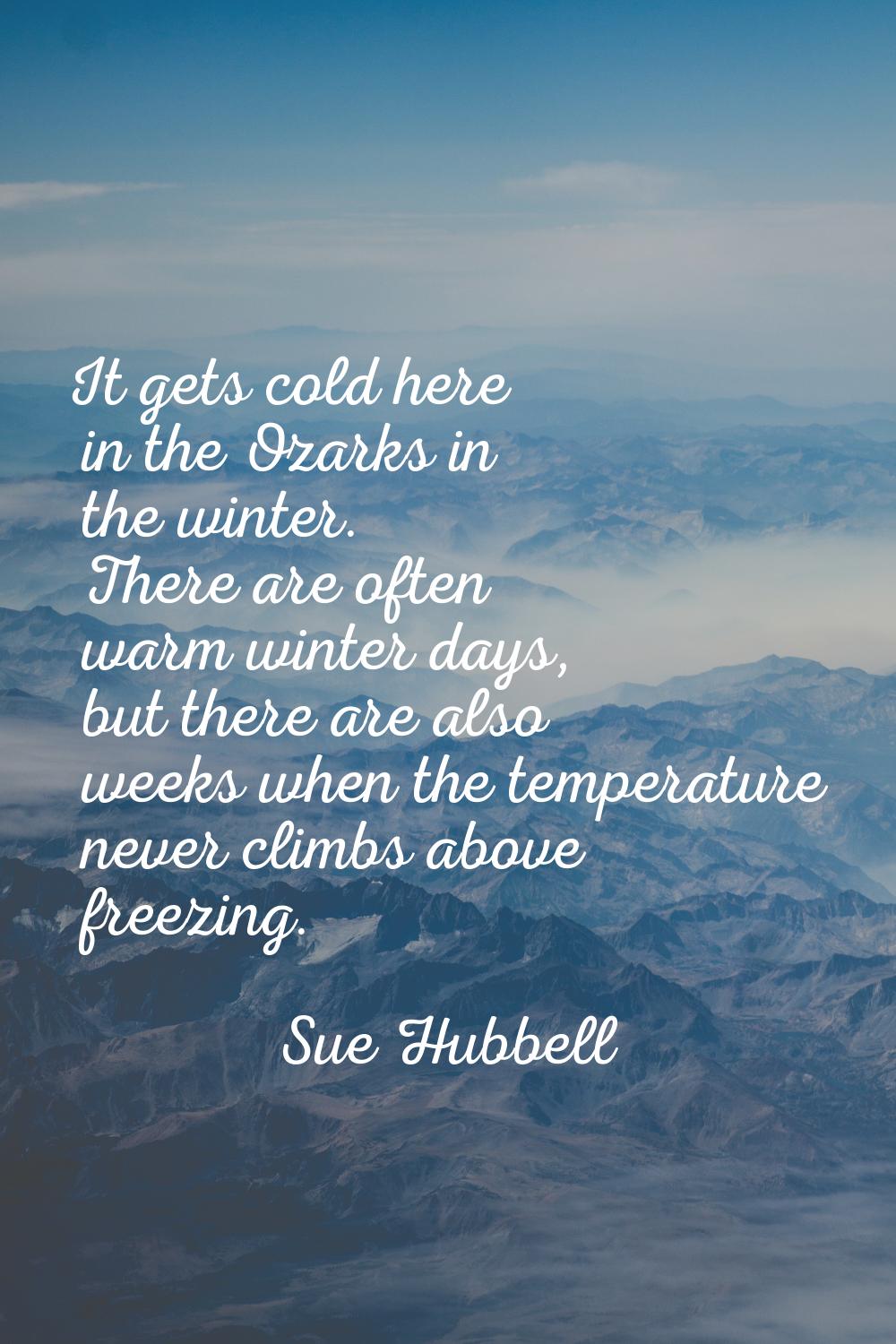 It gets cold here in the Ozarks in the winter. There are often warm winter days, but there are also