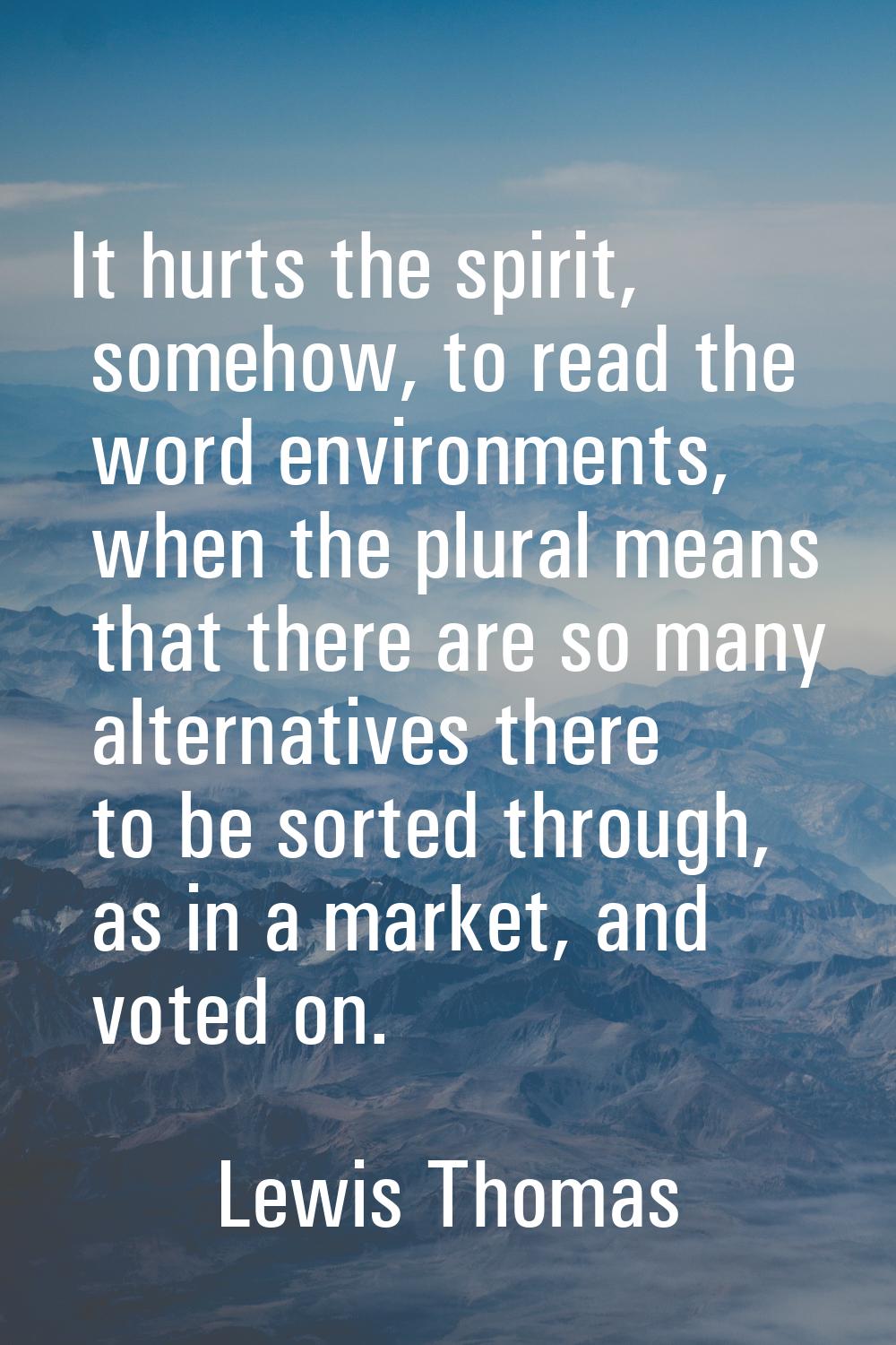 It hurts the spirit, somehow, to read the word environments, when the plural means that there are s
