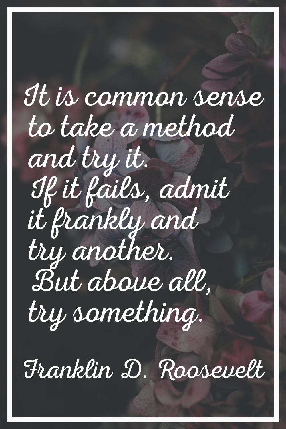 It is common sense to take a method and try it. If it fails, admit it frankly and try another. But 
