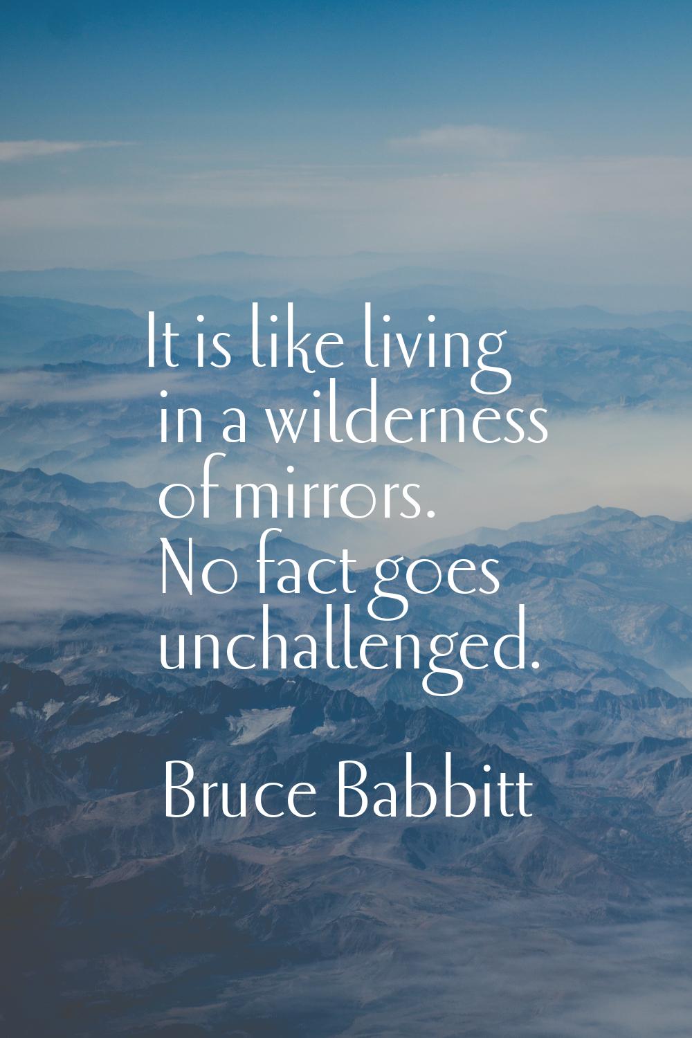 It is like living in a wilderness of mirrors. No fact goes unchallenged.