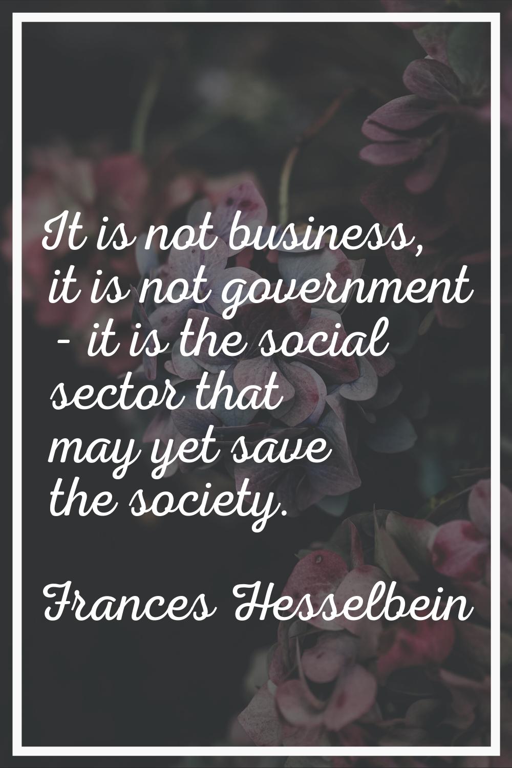 It is not business, it is not government - it is the social sector that may yet save the society.