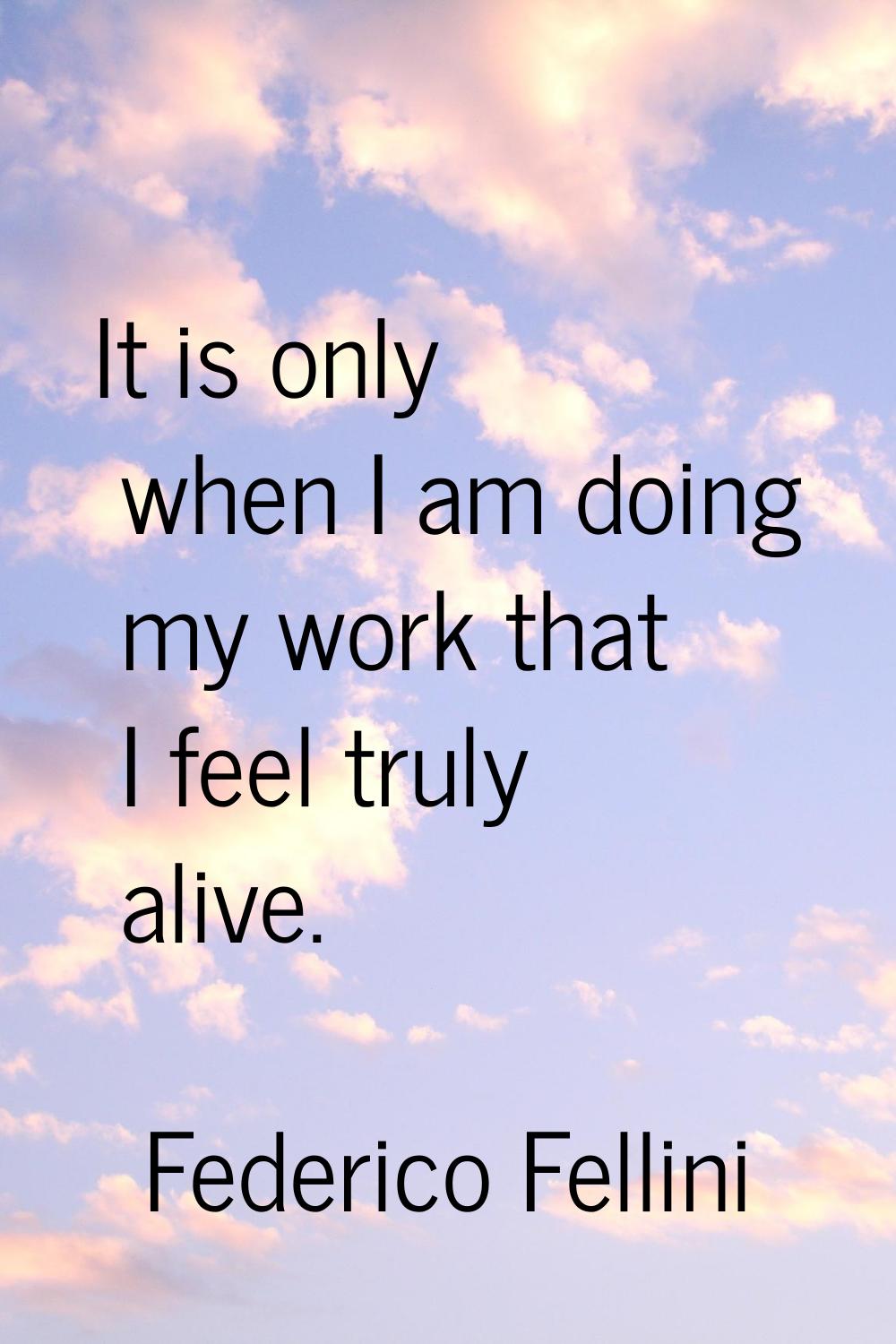 It is only when I am doing my work that I feel truly alive.