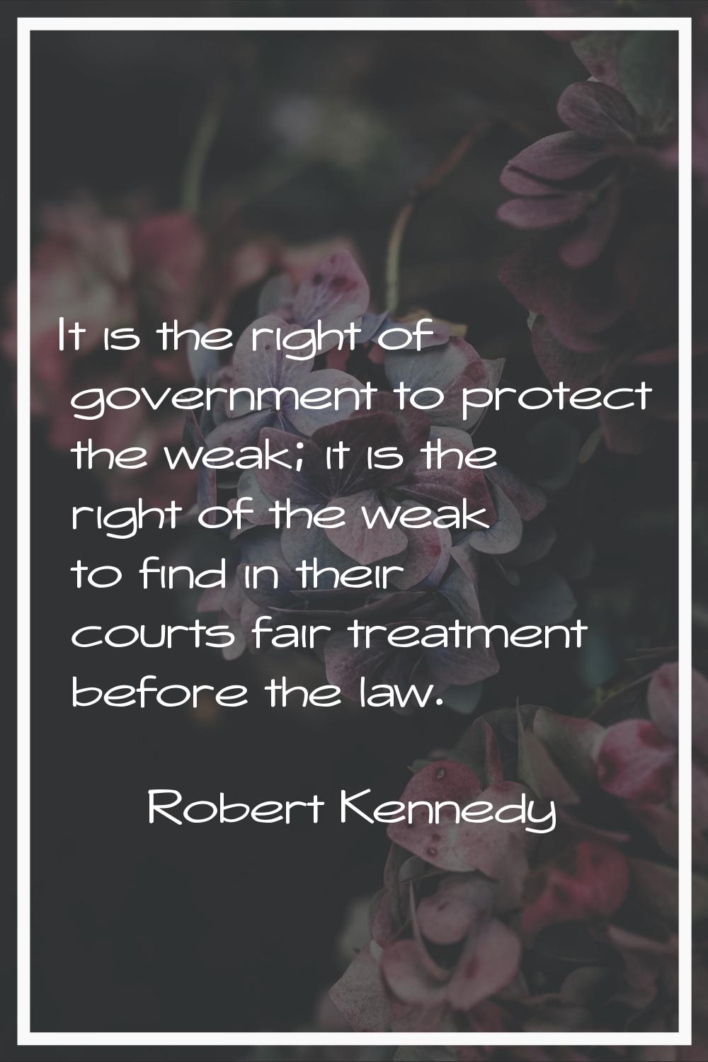 It is the right of government to protect the weak; it is the right of the weak to find in their cou