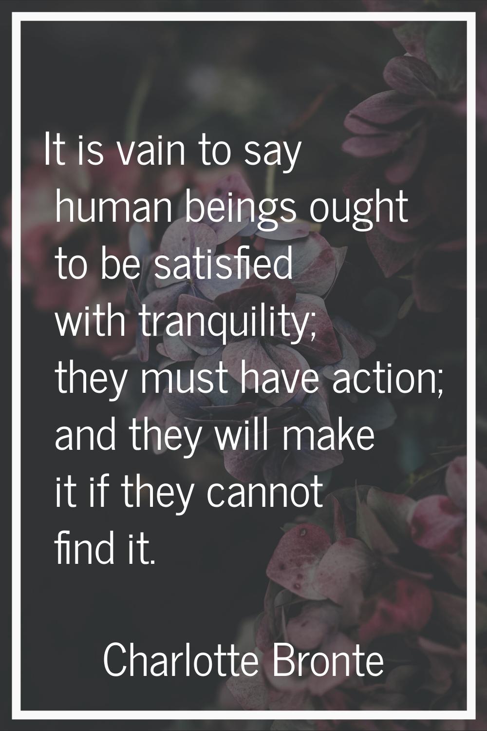 It is vain to say human beings ought to be satisfied with tranquility; they must have action; and t