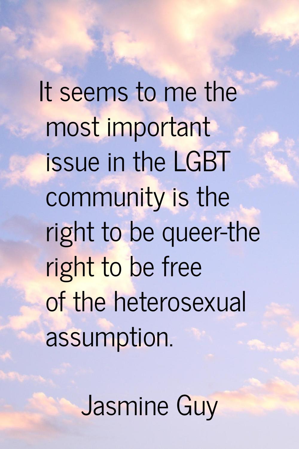 It seems to me the most important issue in the LGBT community is the right to be queer-the right to