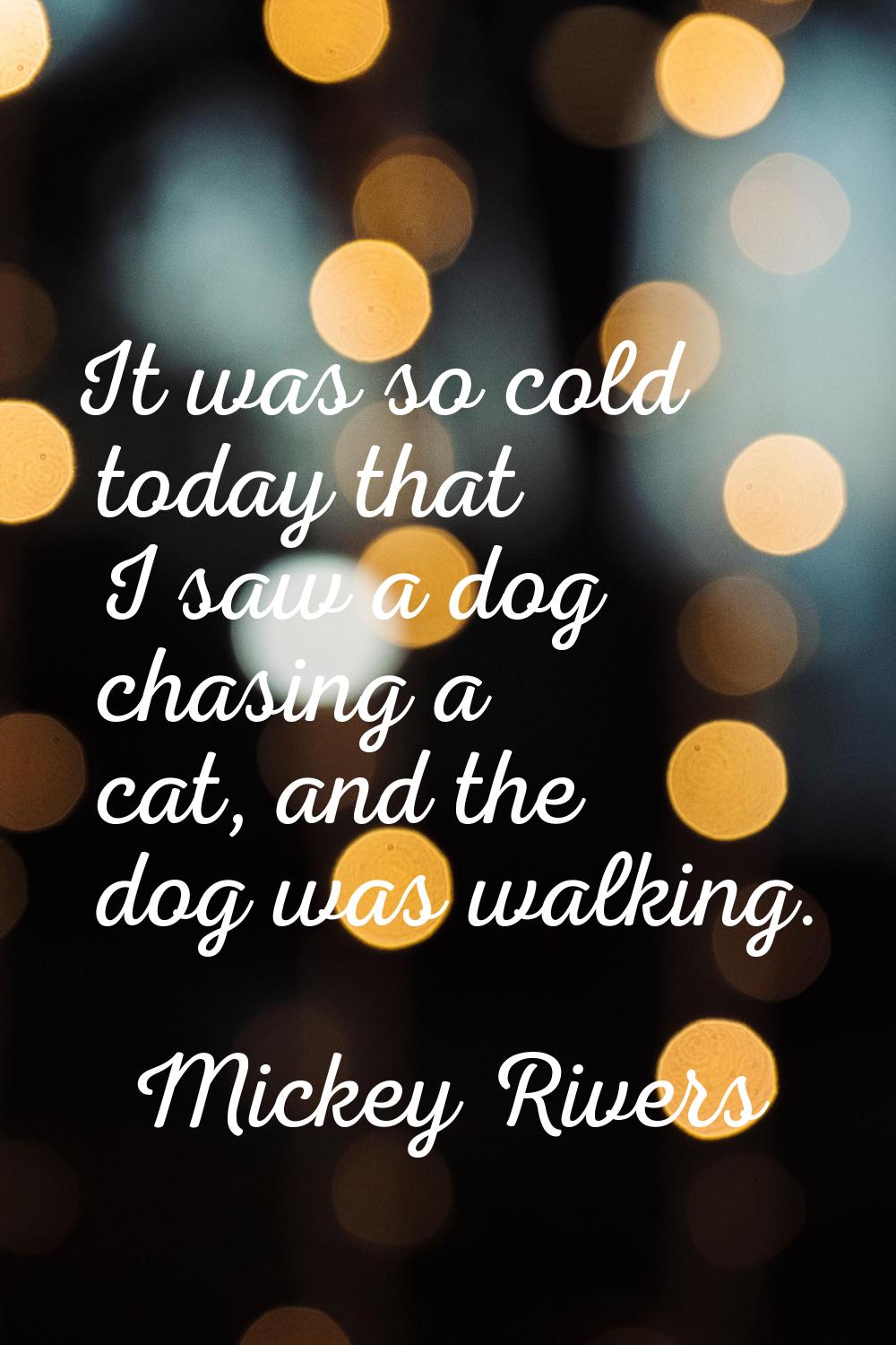 It was so cold today that I saw a dog chasing a cat, and the dog was walking.