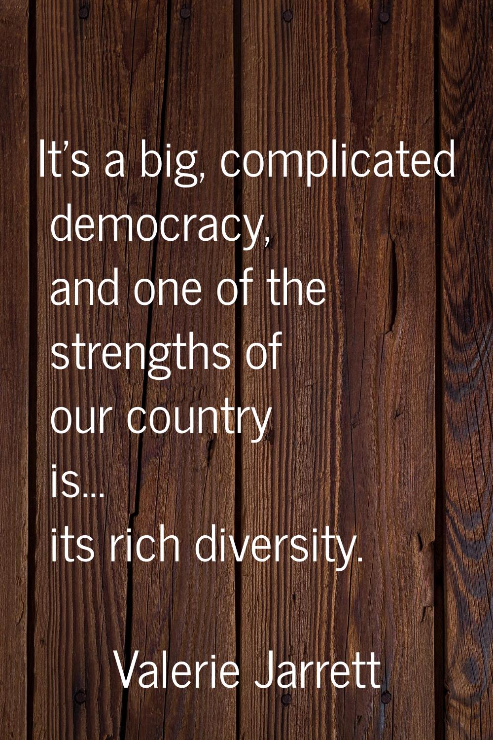 It's a big, complicated democracy, and one of the strengths of our country is... its rich diversity