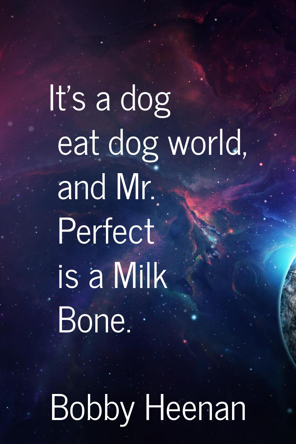 It's a dog eat dog world, and Mr. Perfect is a Milk Bone.
