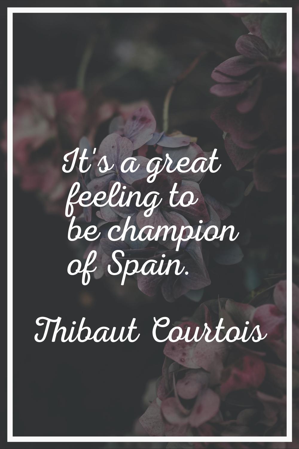 It's a great feeling to be champion of Spain.