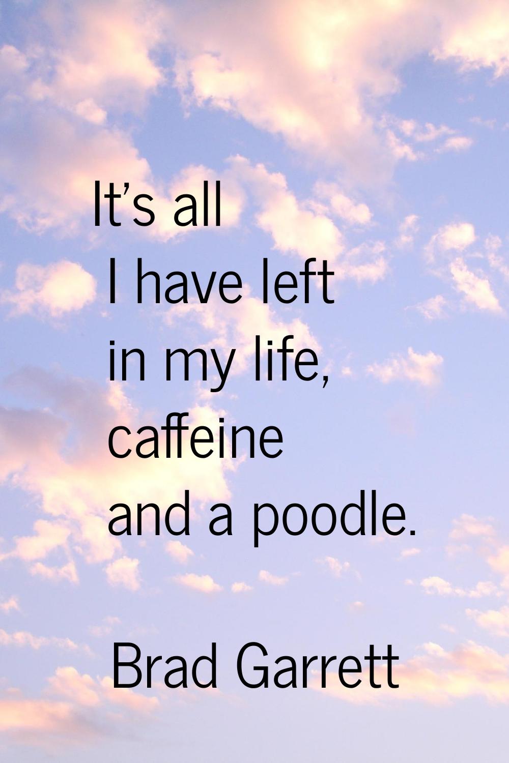 It's all I have left in my life, caffeine and a poodle.