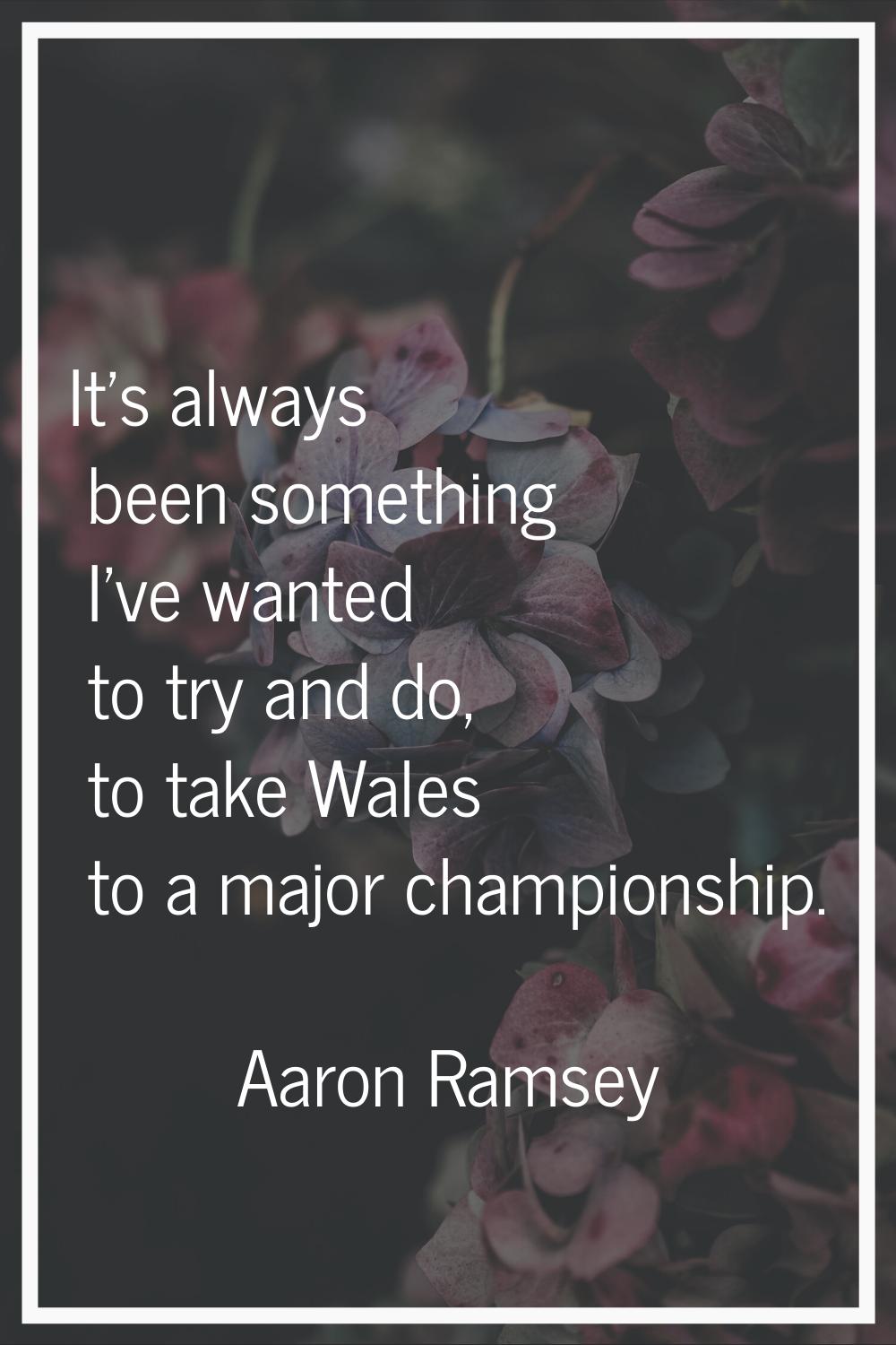 It's always been something I've wanted to try and do, to take Wales to a major championship.