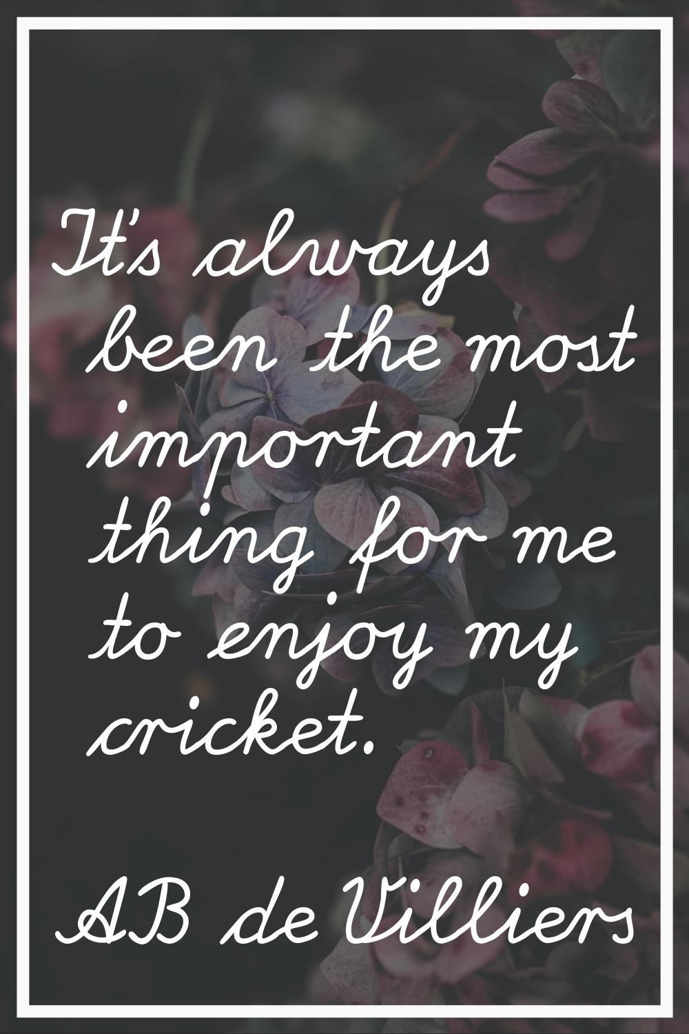 It's always been the most important thing for me to enjoy my cricket.