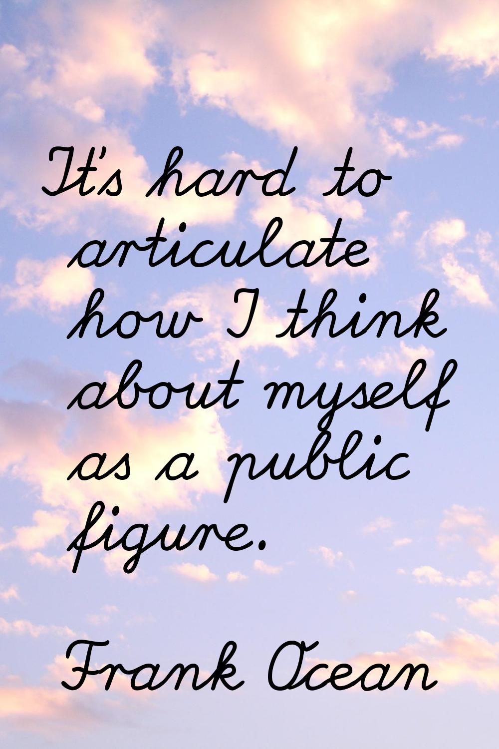 It's hard to articulate how I think about myself as a public figure.