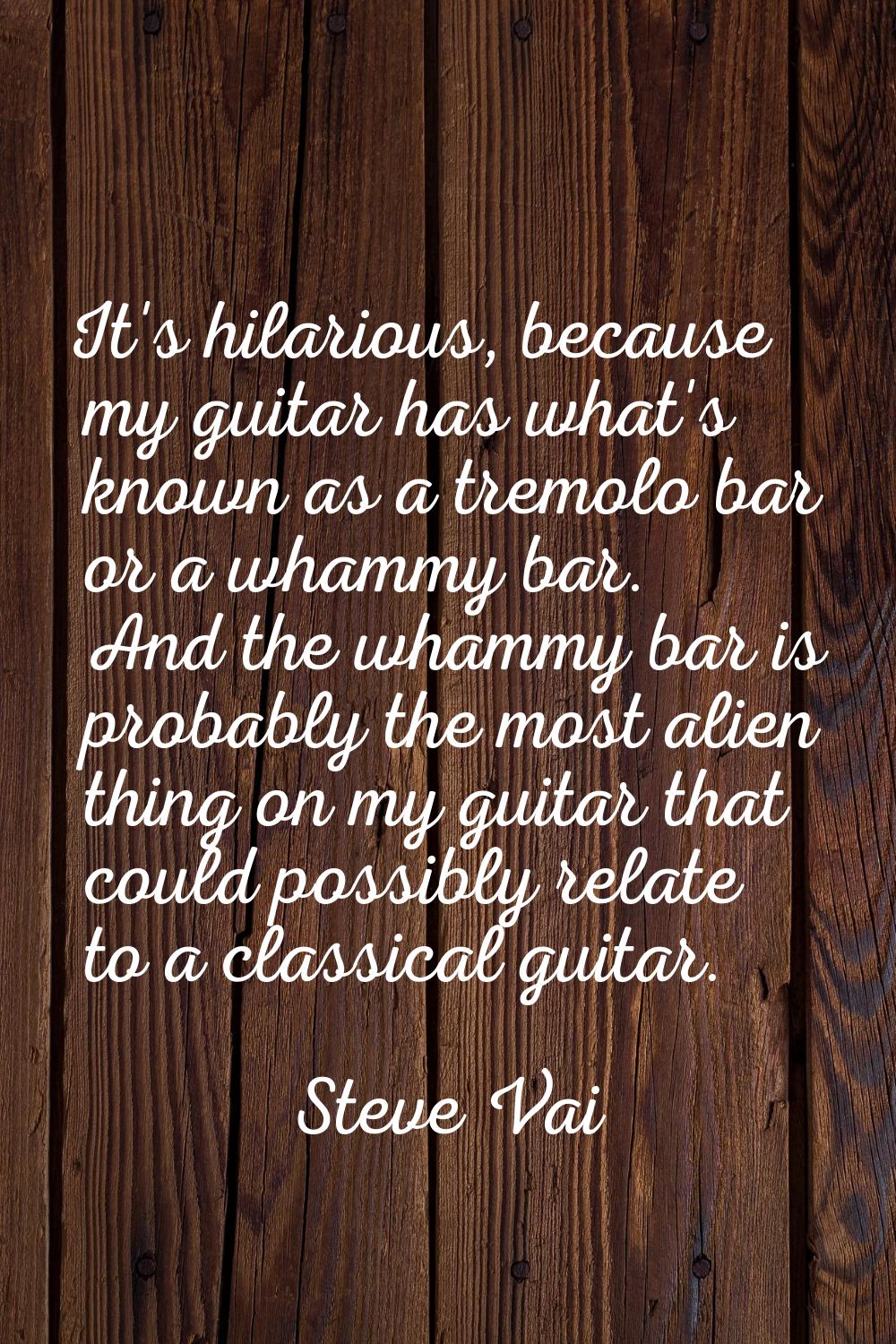 It's hilarious, because my guitar has what's known as a tremolo bar or a whammy bar. And the whammy