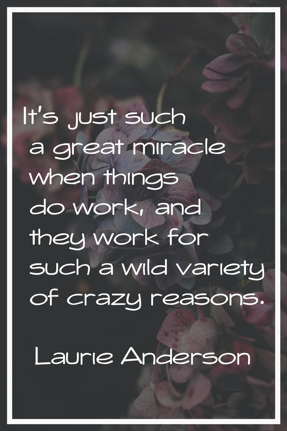It's just such a great miracle when things do work, and they work for such a wild variety of crazy 