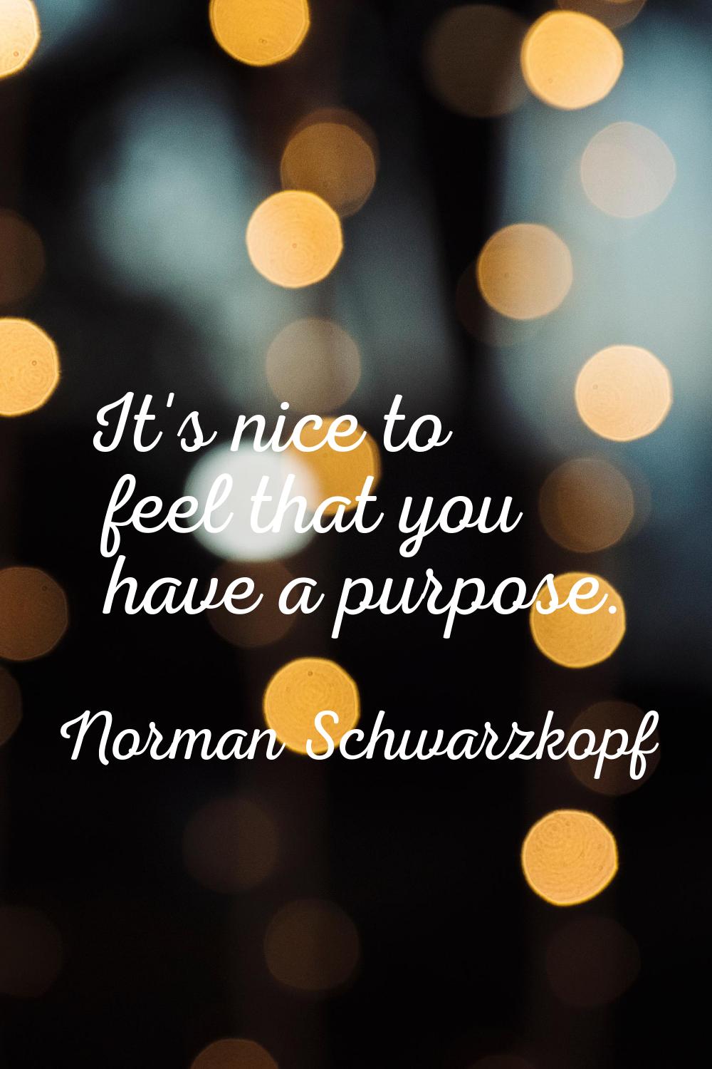 It's nice to feel that you have a purpose.