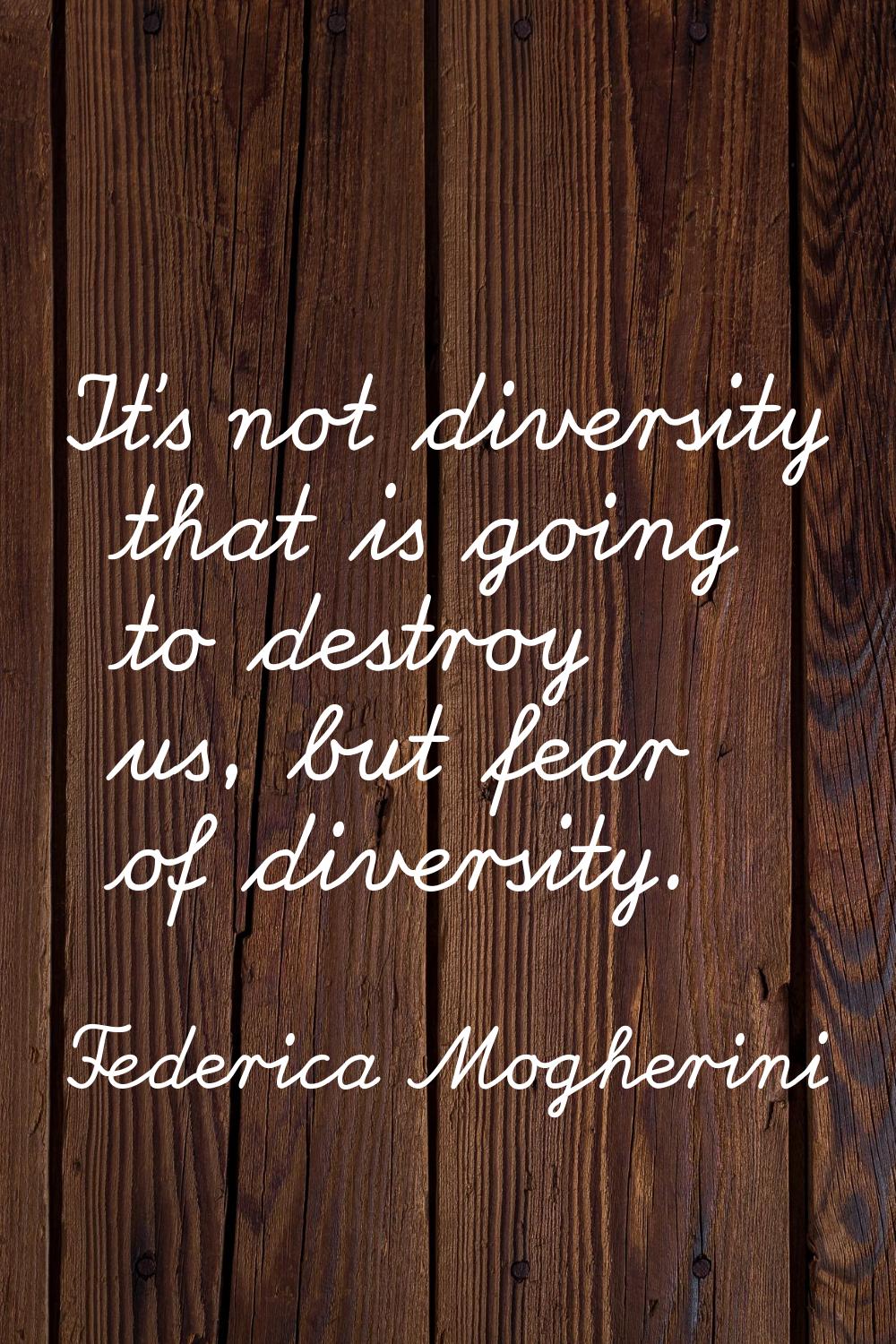 It's not diversity that is going to destroy us, but fear of diversity.