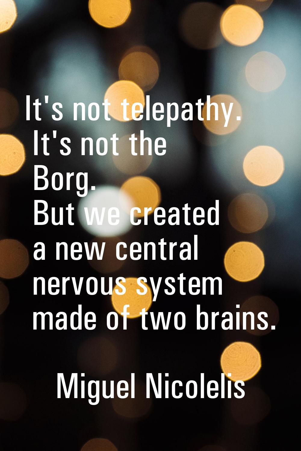 It's not telepathy. It's not the Borg. But we created a new central nervous system made of two brai