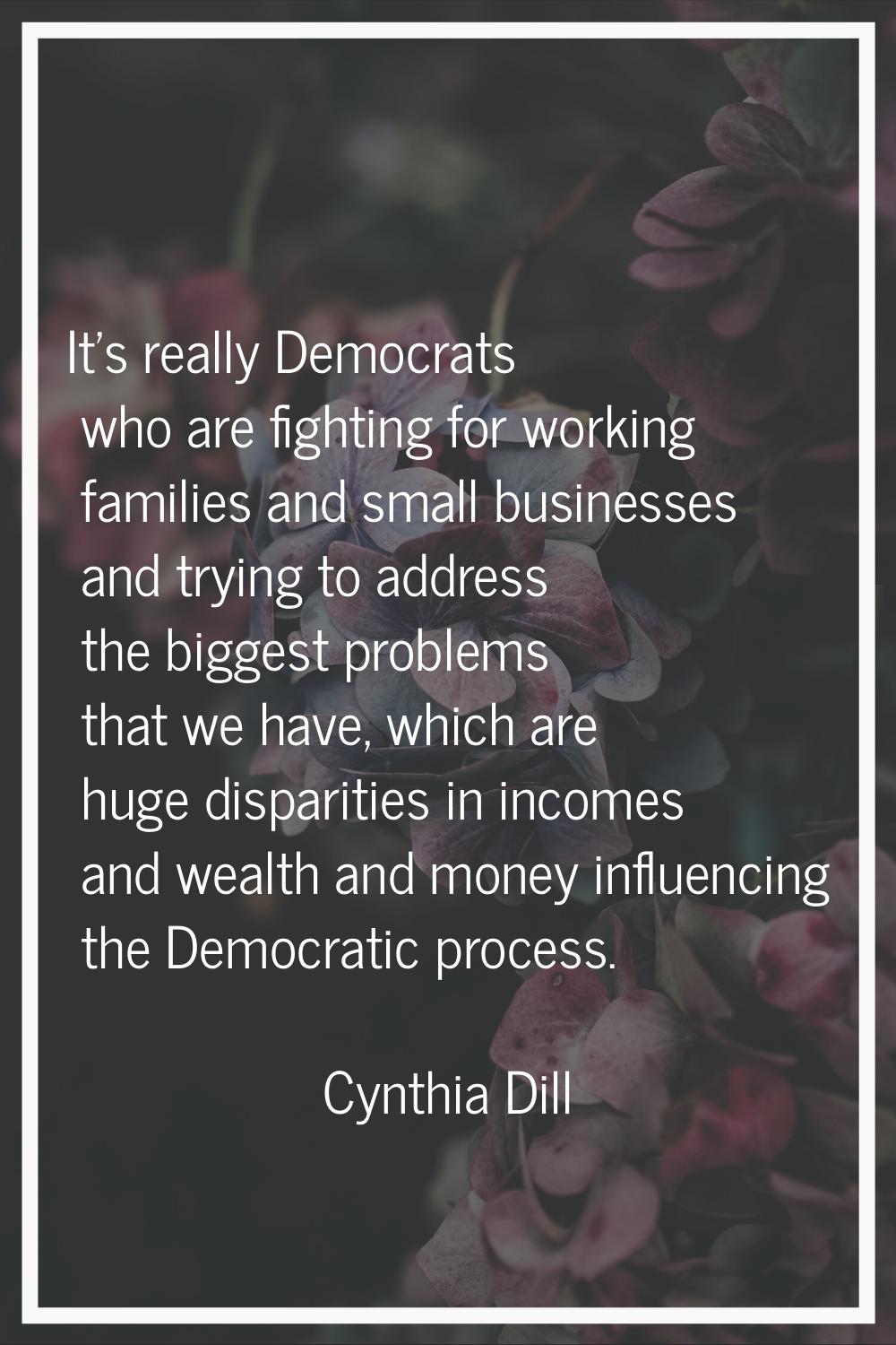 It's really Democrats who are fighting for working families and small businesses and trying to addr