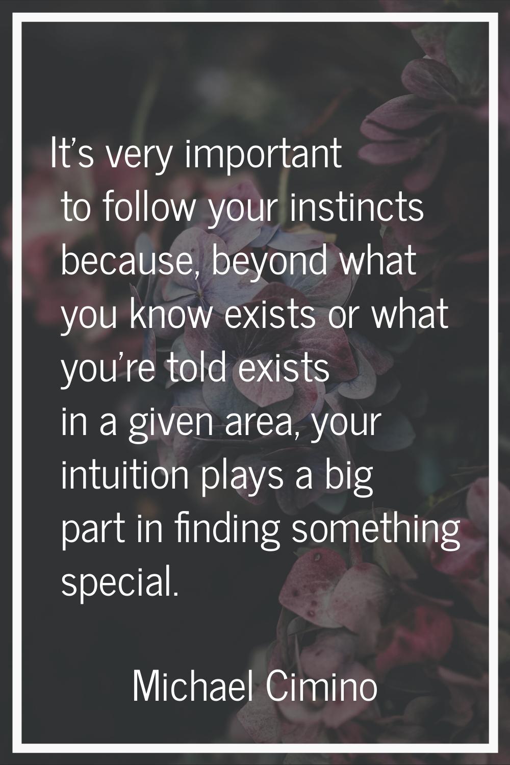 It's very important to follow your instincts because, beyond what you know exists or what you're to