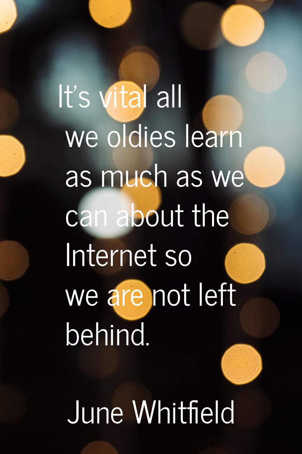 It's vital all we oldies learn as much as we can about the Internet so we are not left behind.