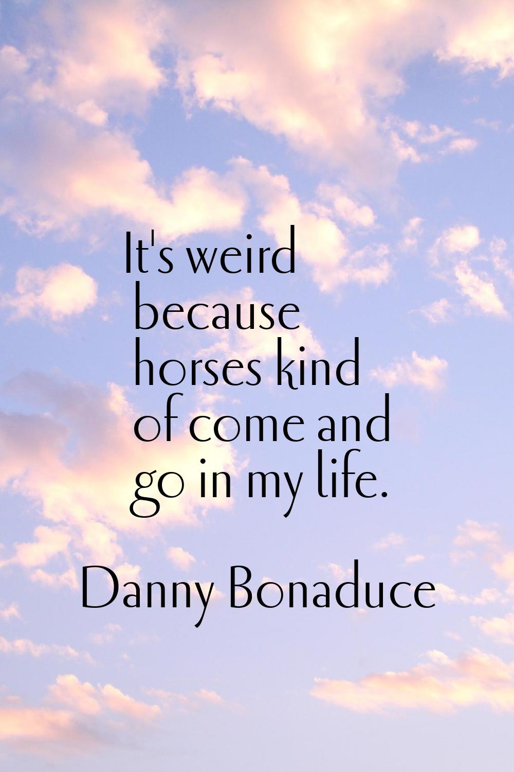 It's weird because horses kind of come and go in my life.