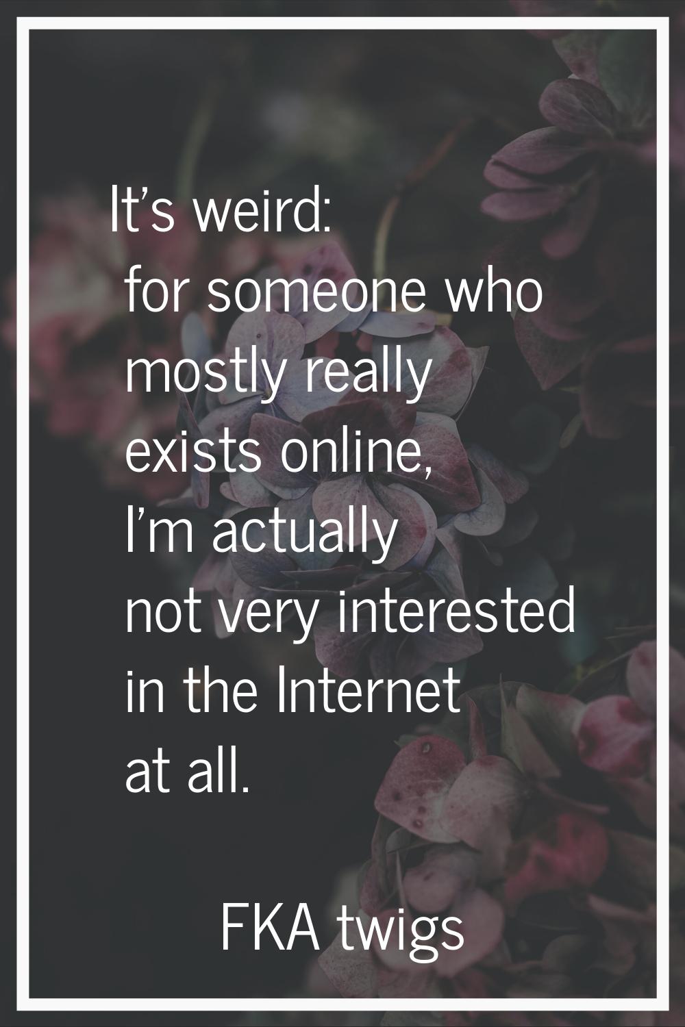 It's weird: for someone who mostly really exists online, I'm actually not very interested in the In