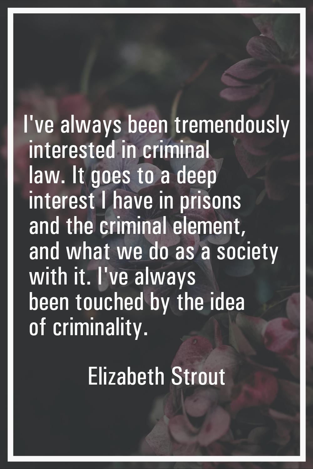 I've always been tremendously interested in criminal law. It goes to a deep interest I have in pris
