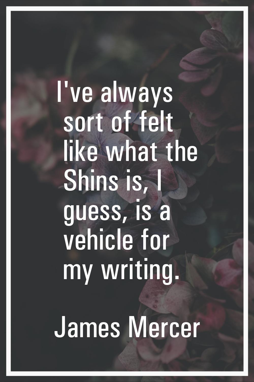 I've always sort of felt like what the Shins is, I guess, is a vehicle for my writing.