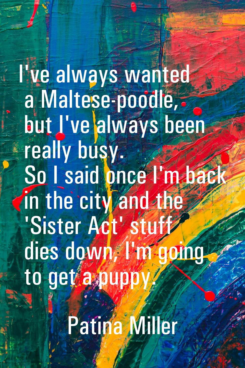 I've always wanted a Maltese-poodle, but I've always been really busy. So I said once I'm back in t