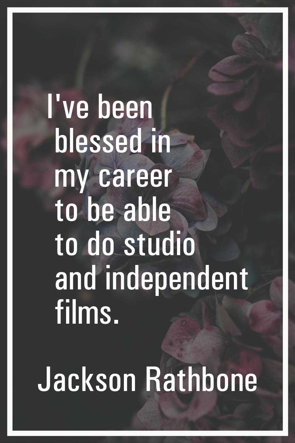 I've been blessed in my career to be able to do studio and independent films.