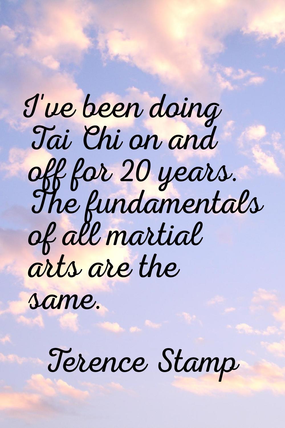 I've been doing Tai Chi on and off for 20 years. The fundamentals of all martial arts are the same.