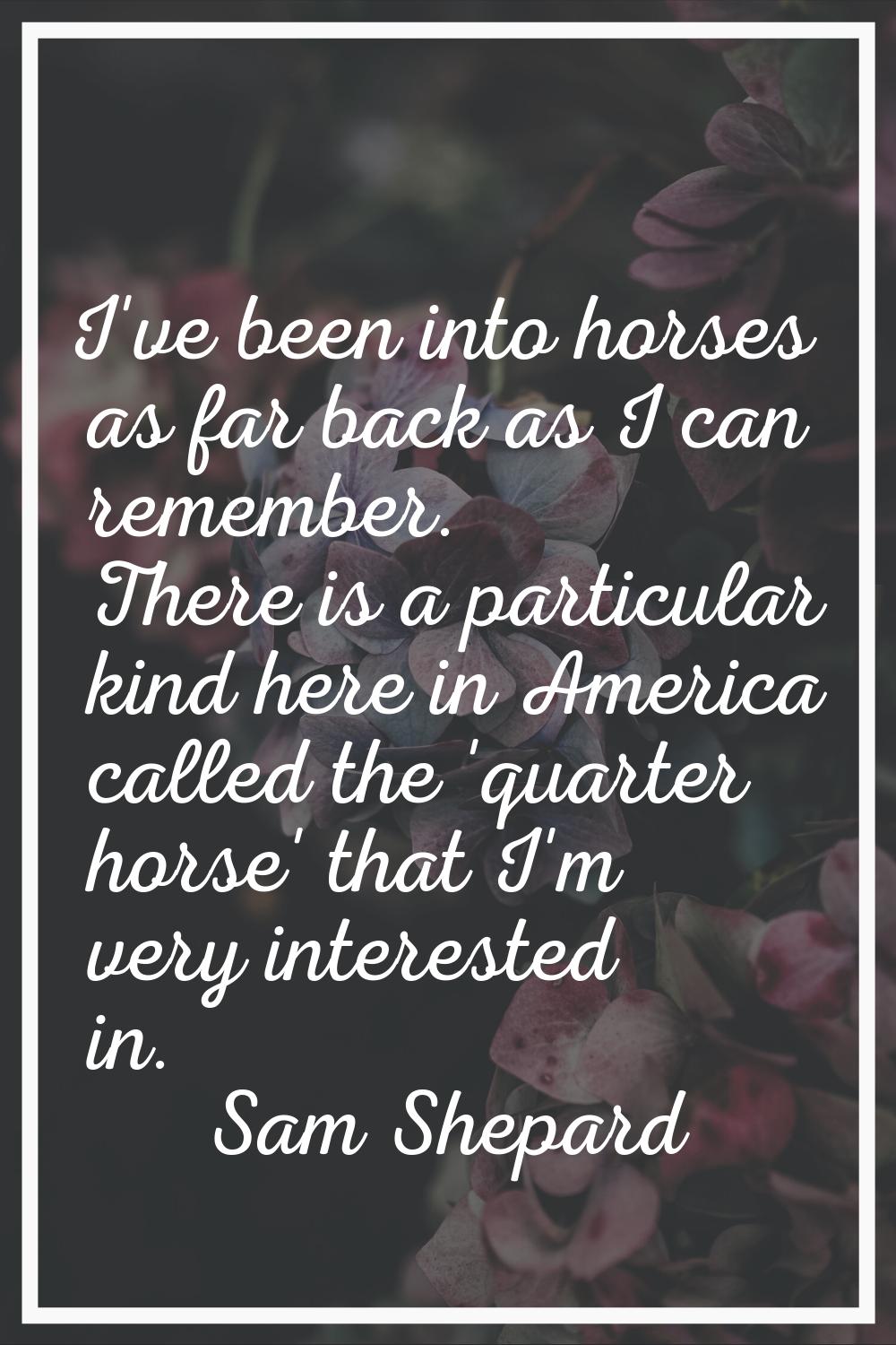 I've been into horses as far back as I can remember. There is a particular kind here in America cal