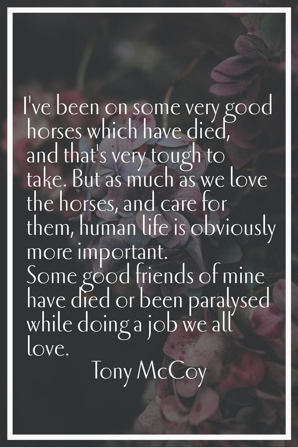 I've been on some very good horses which have died, and that's very tough to take. But as much as w