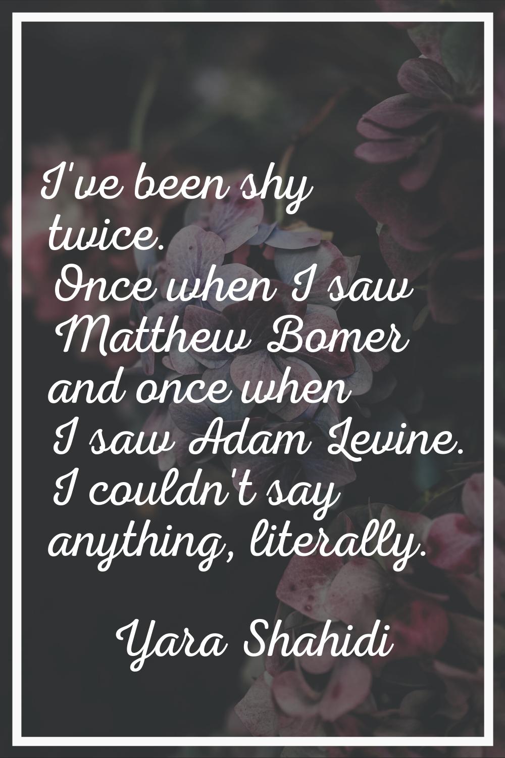 I've been shy twice. Once when I saw Matthew Bomer and once when I saw Adam Levine. I couldn't say 