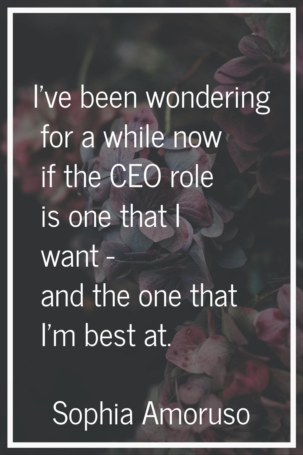 I've been wondering for a while now if the CEO role is one that I want - and the one that I'm best 