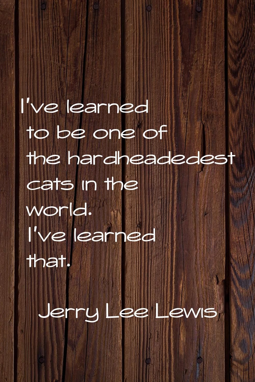 I've learned to be one of the hardheadedest cats in the world. I've learned that.