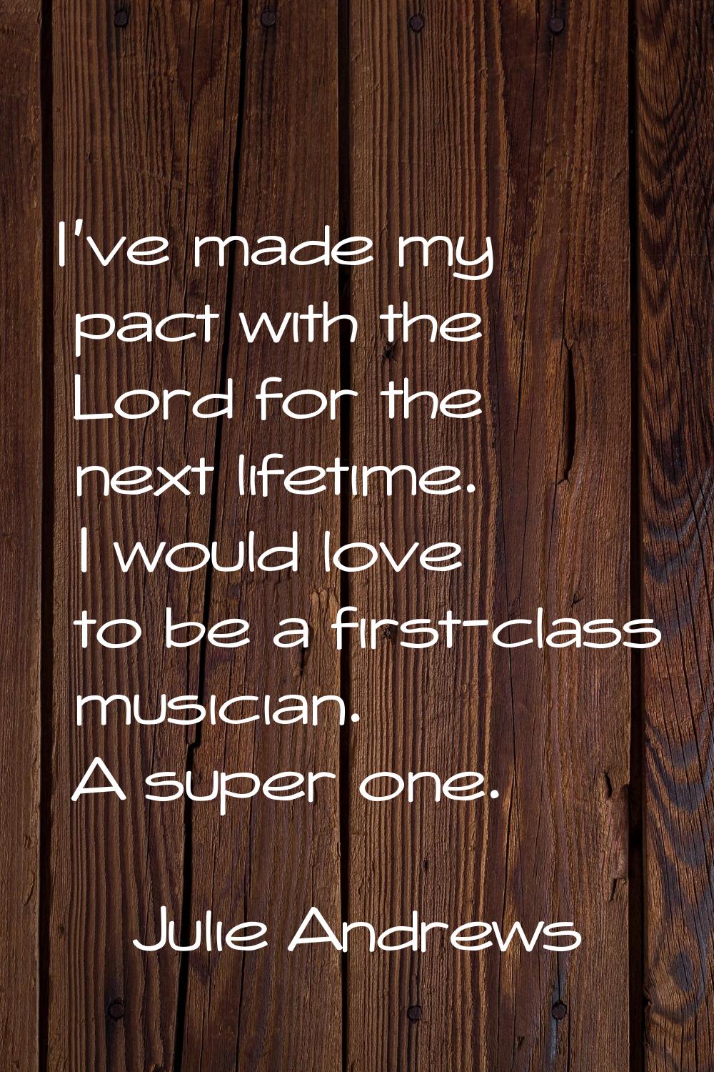 I've made my pact with the Lord for the next lifetime. I would love to be a first-class musician. A