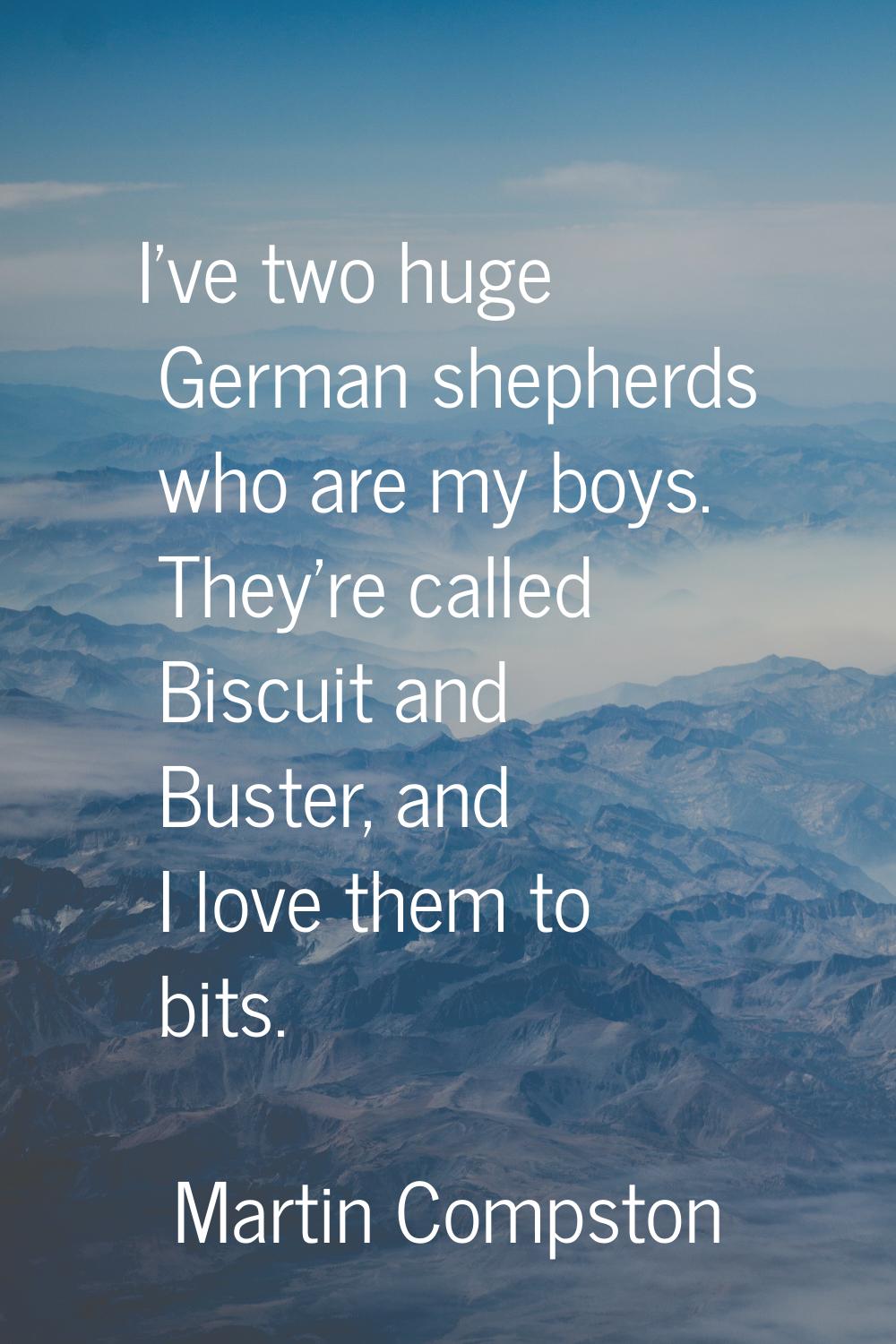 I've two huge German shepherds who are my boys. They're called Biscuit and Buster, and I love them 