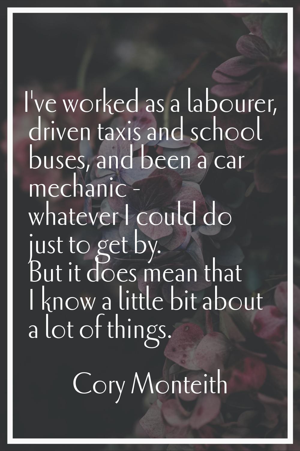 I've worked as a labourer, driven taxis and school buses, and been a car mechanic - whatever I coul