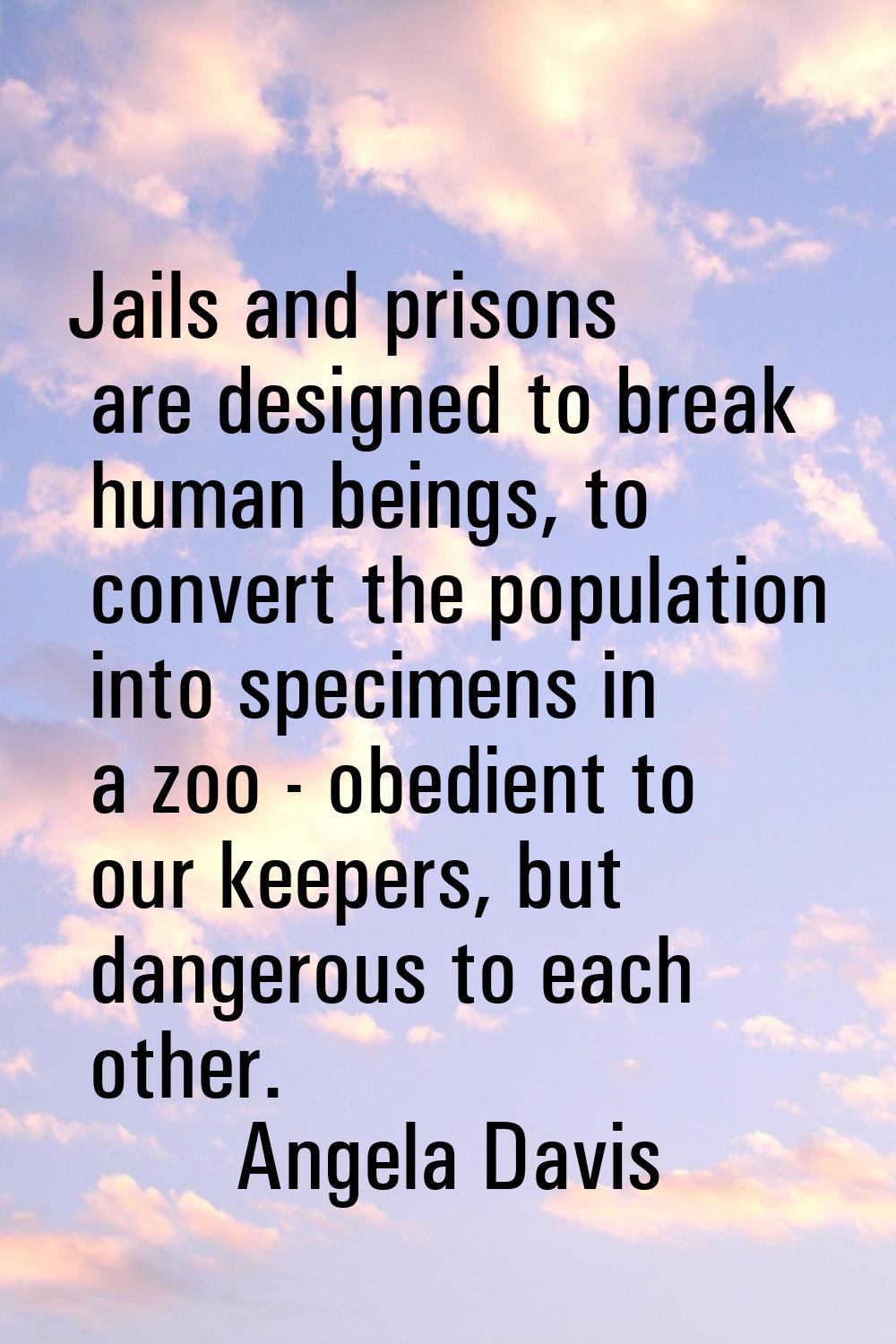 Jails and prisons are designed to break human beings, to convert the population into specimens in a
