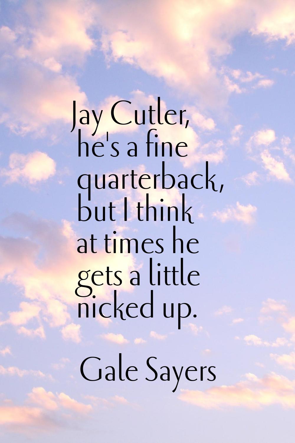 Jay Cutler, he's a fine quarterback, but I think at times he gets a little nicked up.