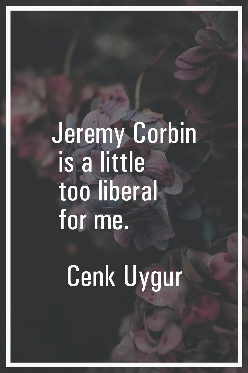 Jeremy Corbin is a little too liberal for me.