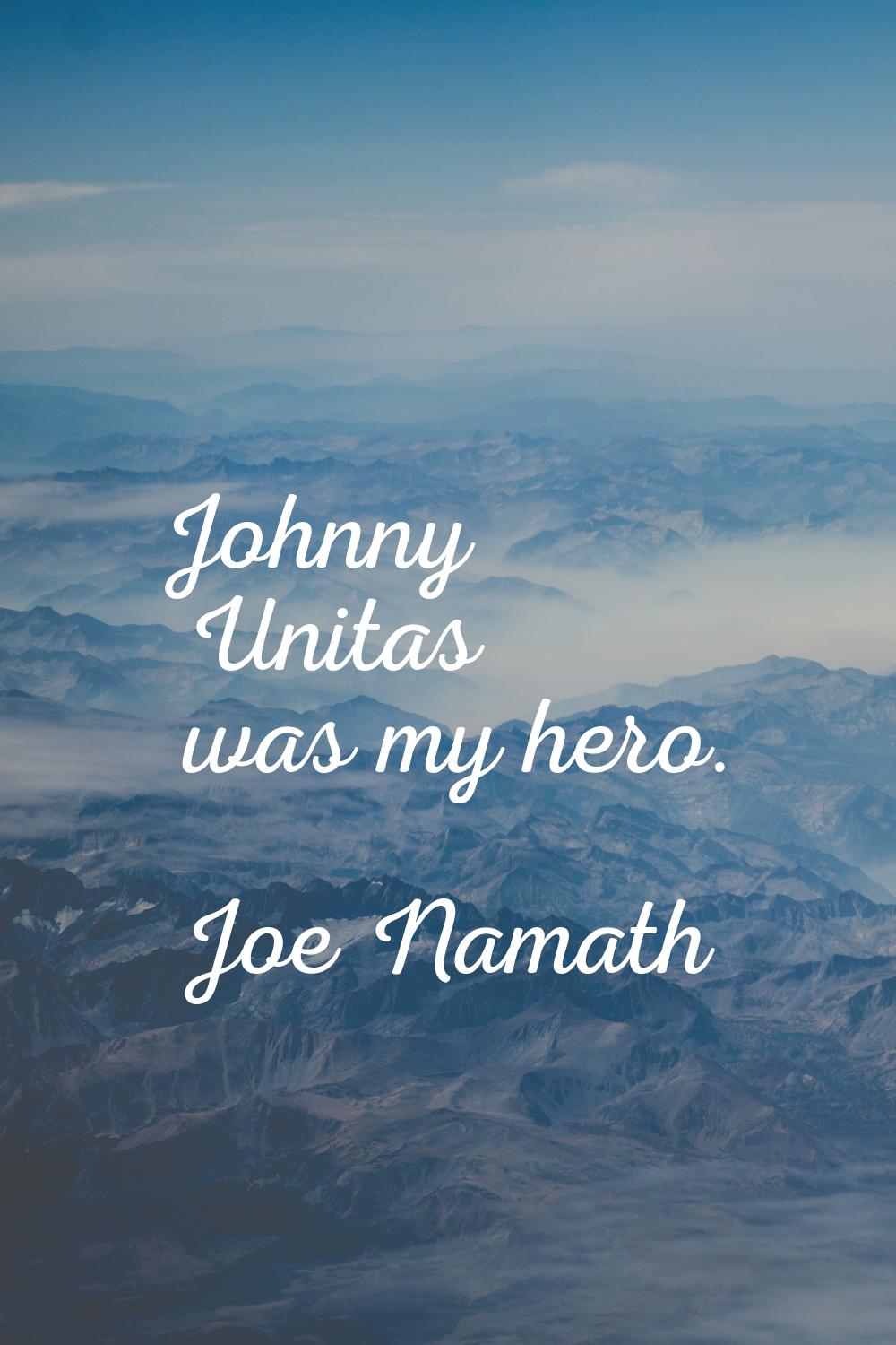 Johnny Unitas was my hero.