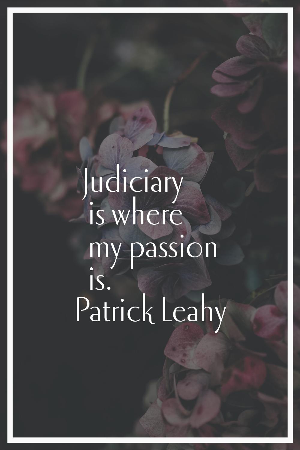 Judiciary is where my passion is.