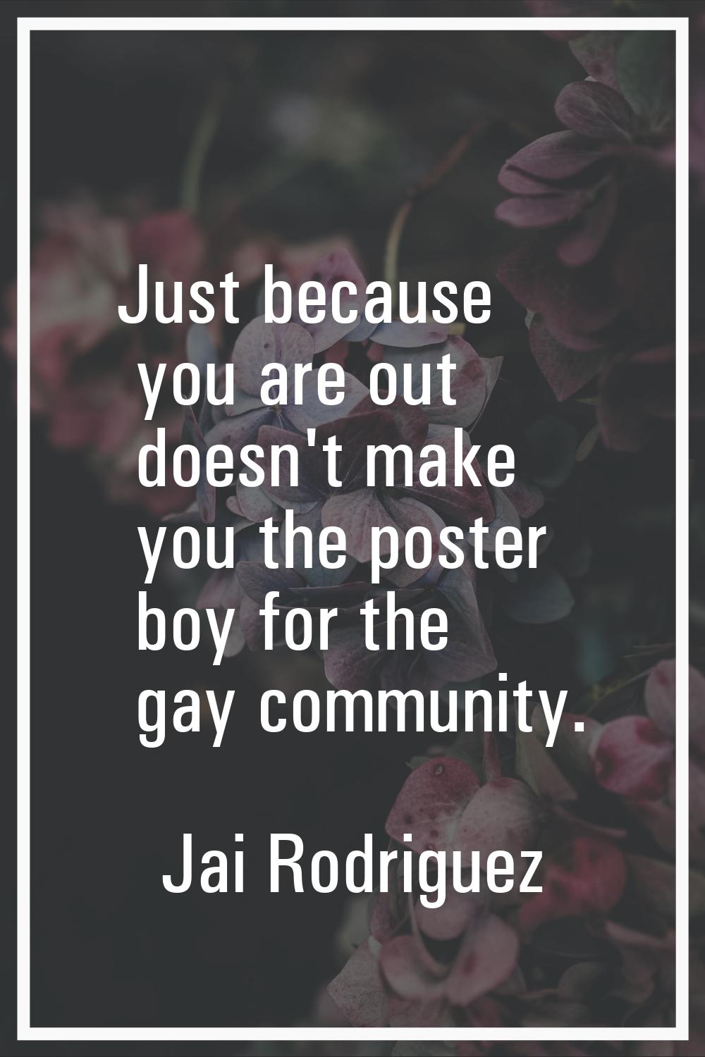 Just because you are out doesn't make you the poster boy for the gay community.